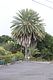 BigIsland / at Painted Church