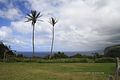 BigIsland_169