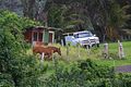 BigIsland_171