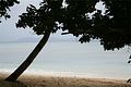 14-taveuni_027